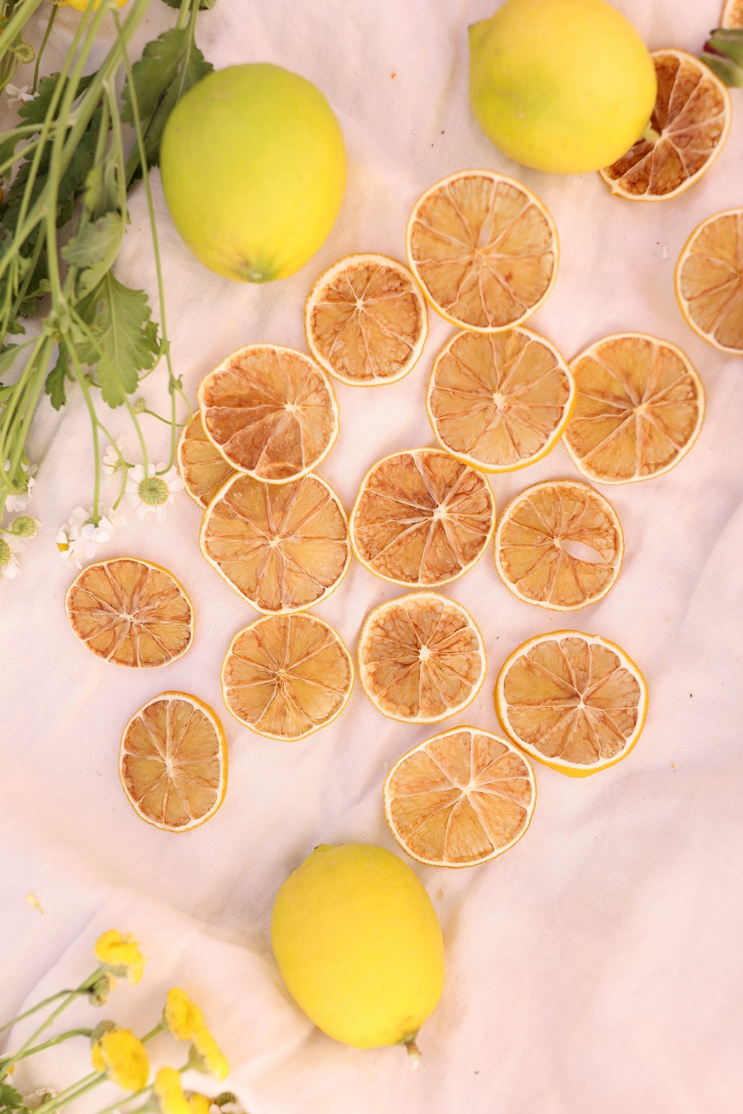 Organic dried lemon slices