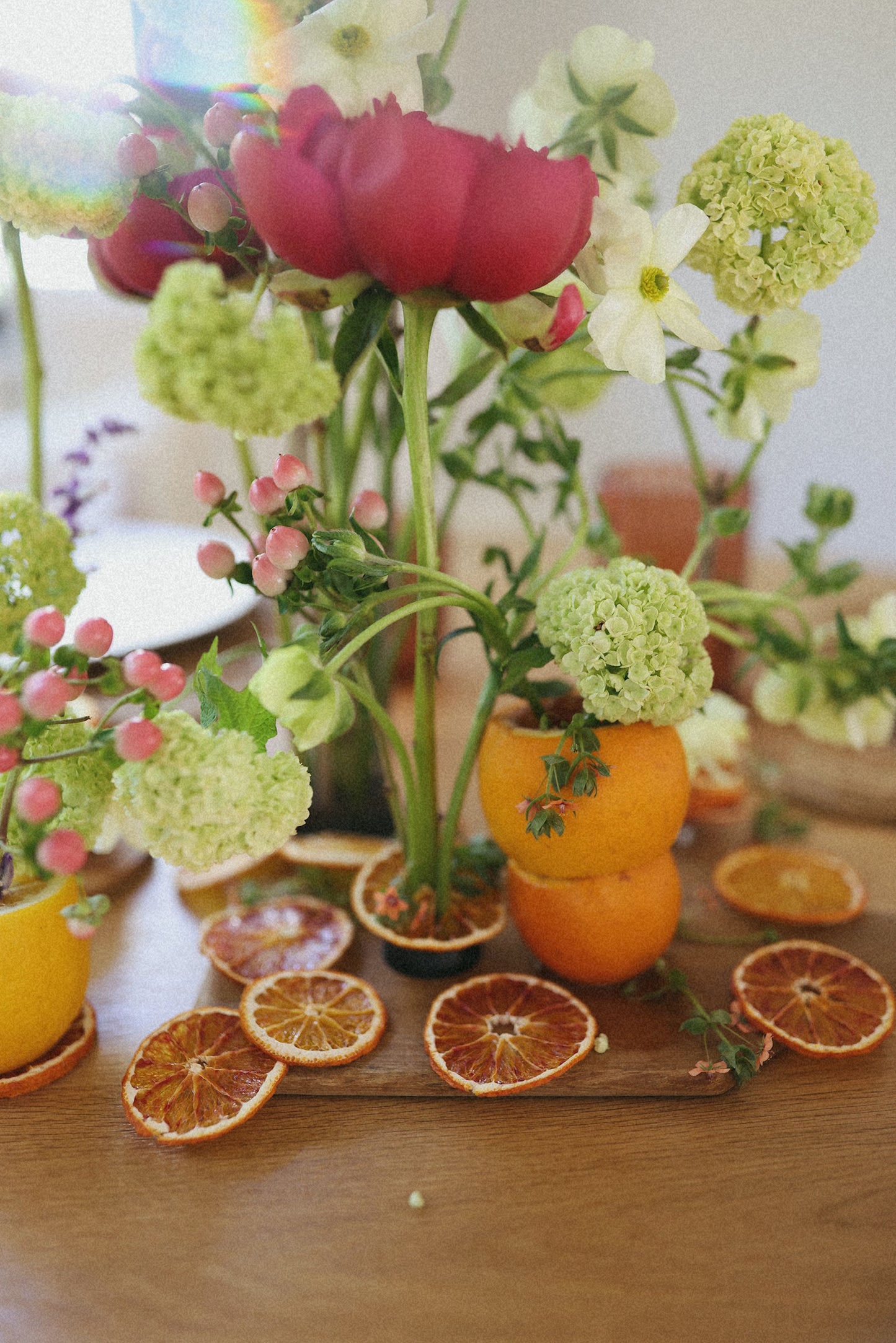 Organic Dried blood orange slices